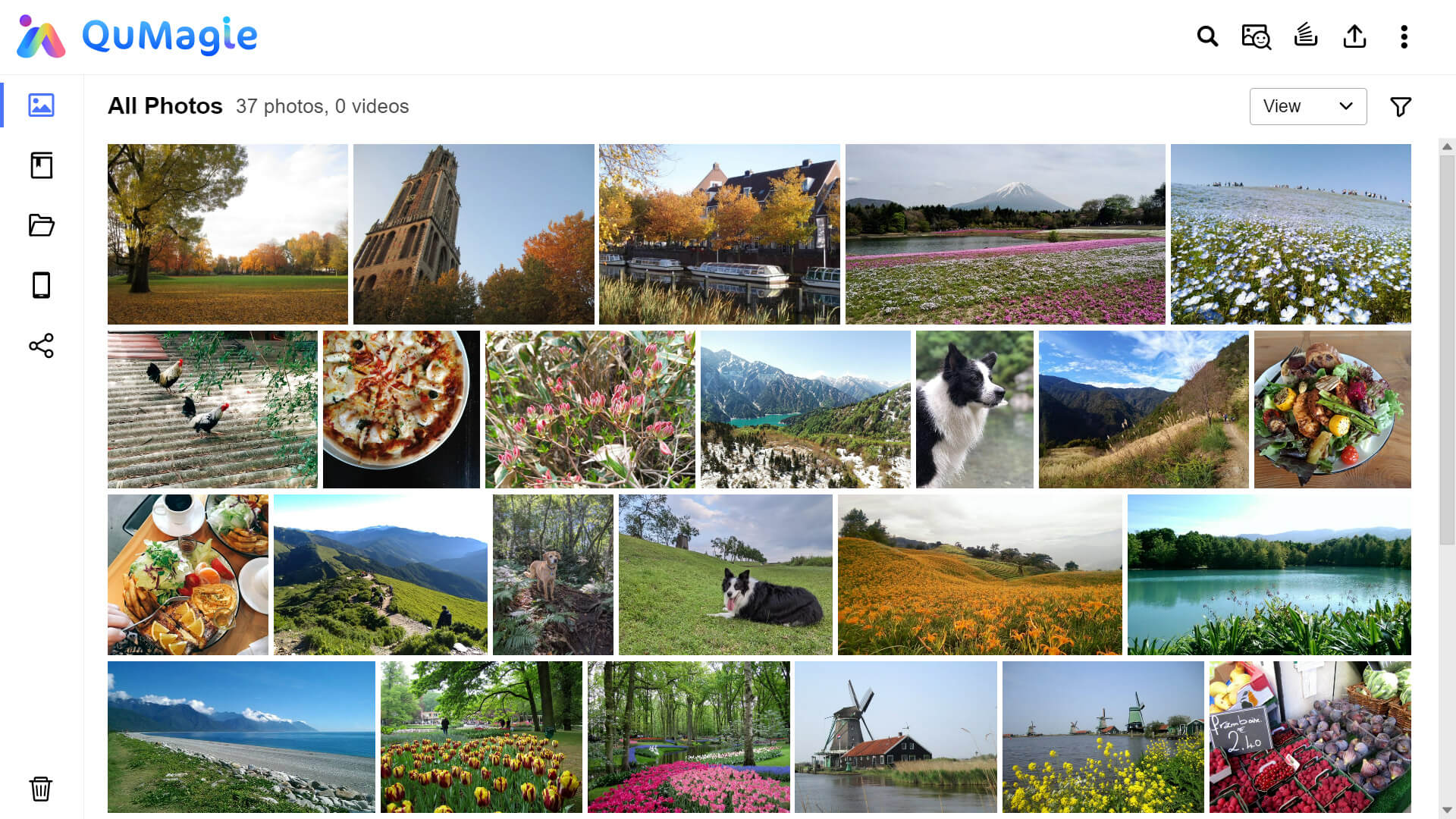 business qumagie img 05